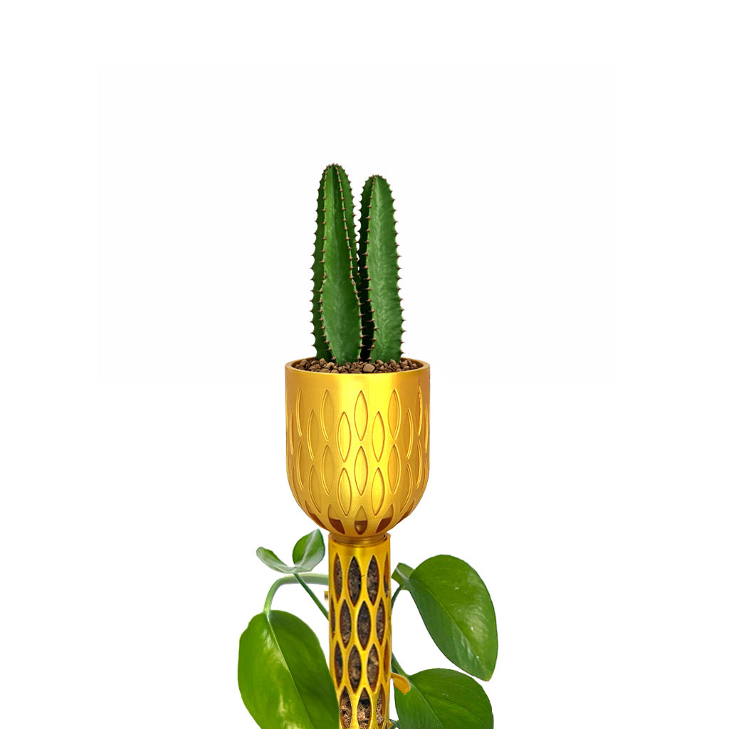 crown pot plant 3 inch Crown Pot for Topping Standard 1.5" Diameter Moss Poles Bright Green / Pot Only