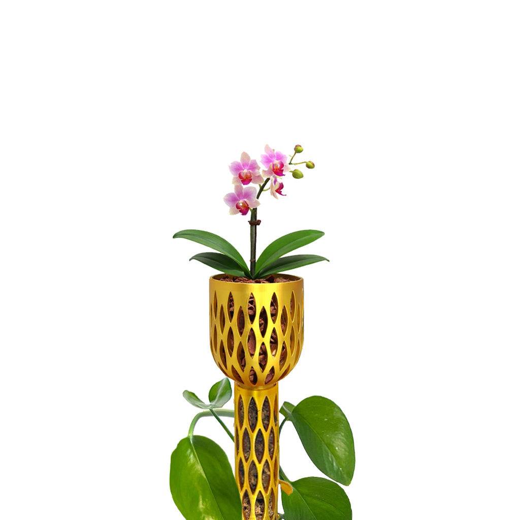 orchids and moss poles 3 inch Orchid Crown Pot for Topping Standard 1.5" Diameter Moss Poles Cool Gray / Pot Only