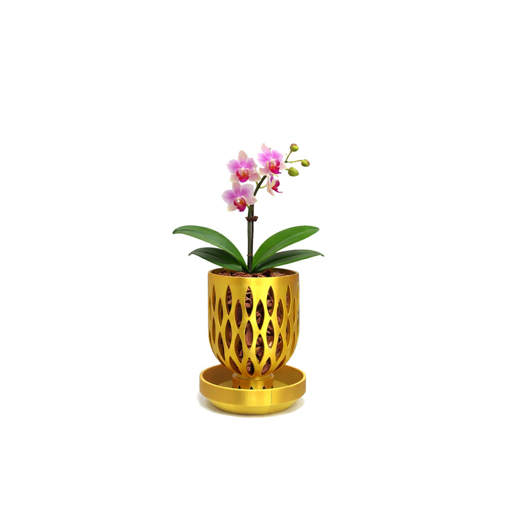3 inch Orchid Crown Pot with Tabletop Drip Tray Black / Pot + Tabletop Drip Tray 4 inch (10 cm) wide