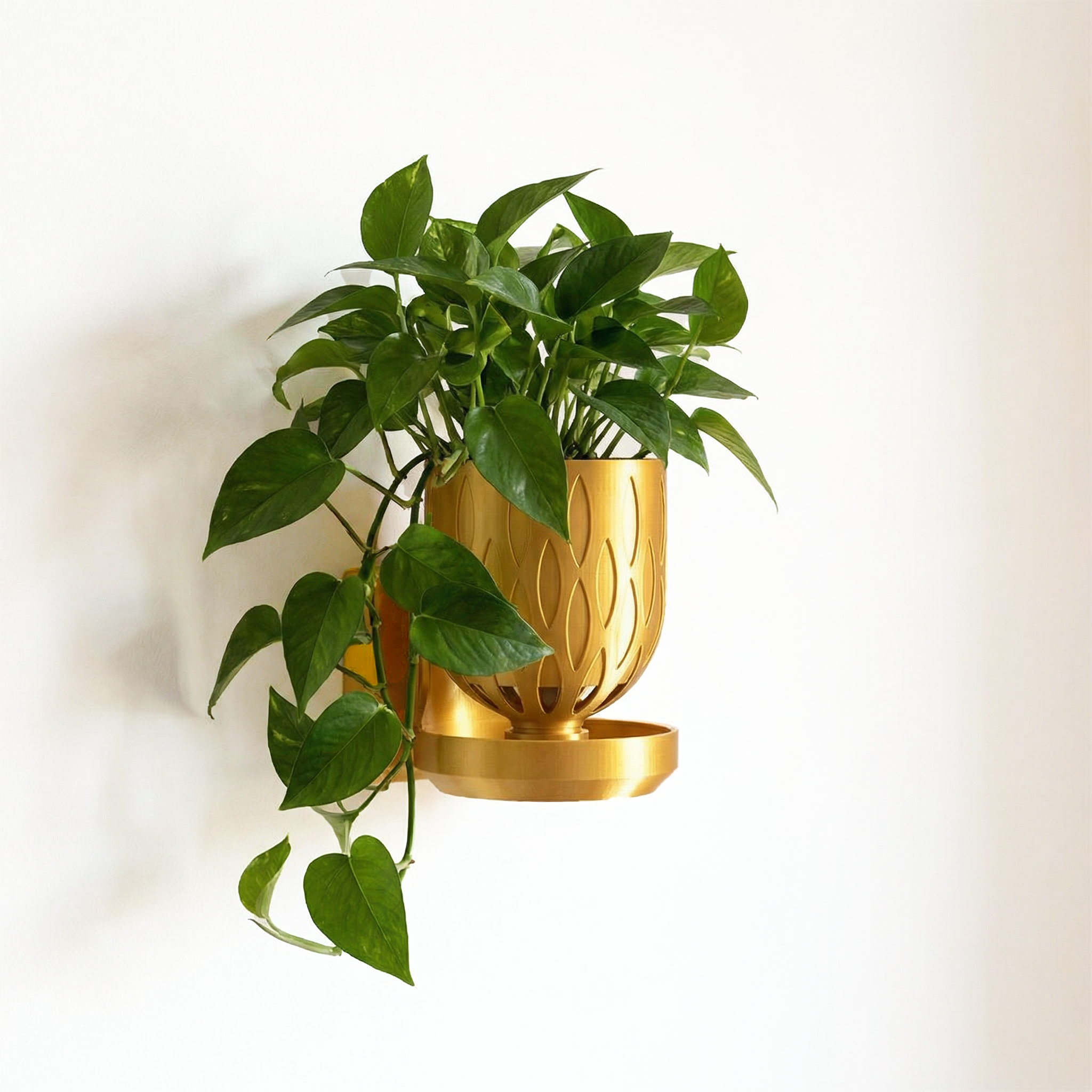 renter friendly plant hanging 3 inch Wall Mount Crown Pot Bundle Renter-Friendly Living Wall with No – Leafy Cove