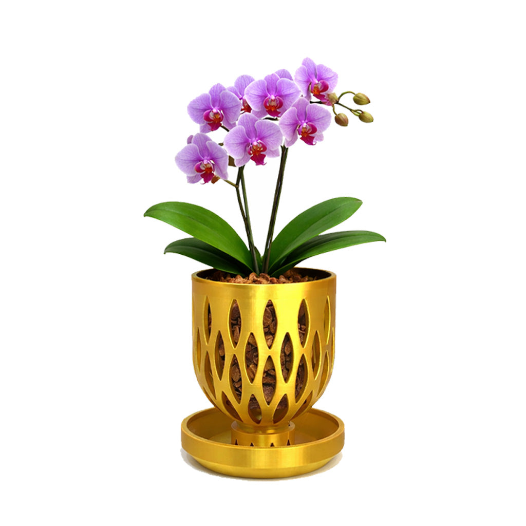 orchid plant pot ceramic 4.5 inch Orchid Crown Pot with Tabletop Drip Tray Earth Brown / Pot + Tabletop Drip Tray 5.5 inch (14cm) wide
