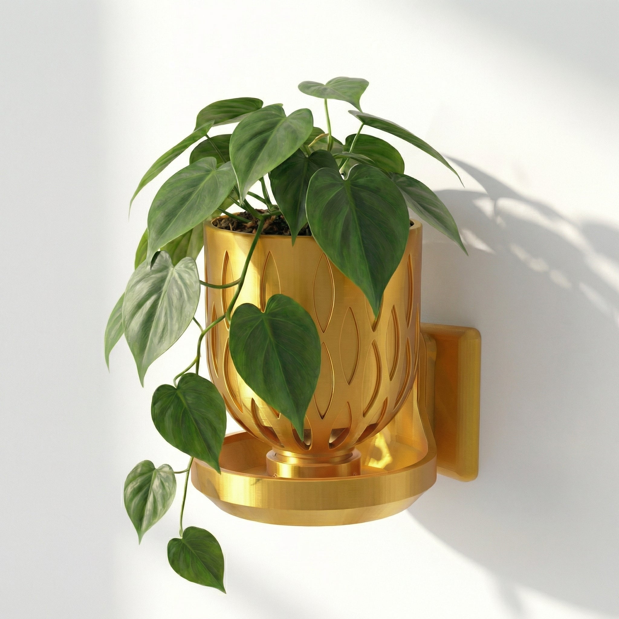 self watering wall planter 4.5 inch Wall Mount Crown Pot Bundle Renter-Friendly Living Wall with No-Drill and Self-Watering Option Red