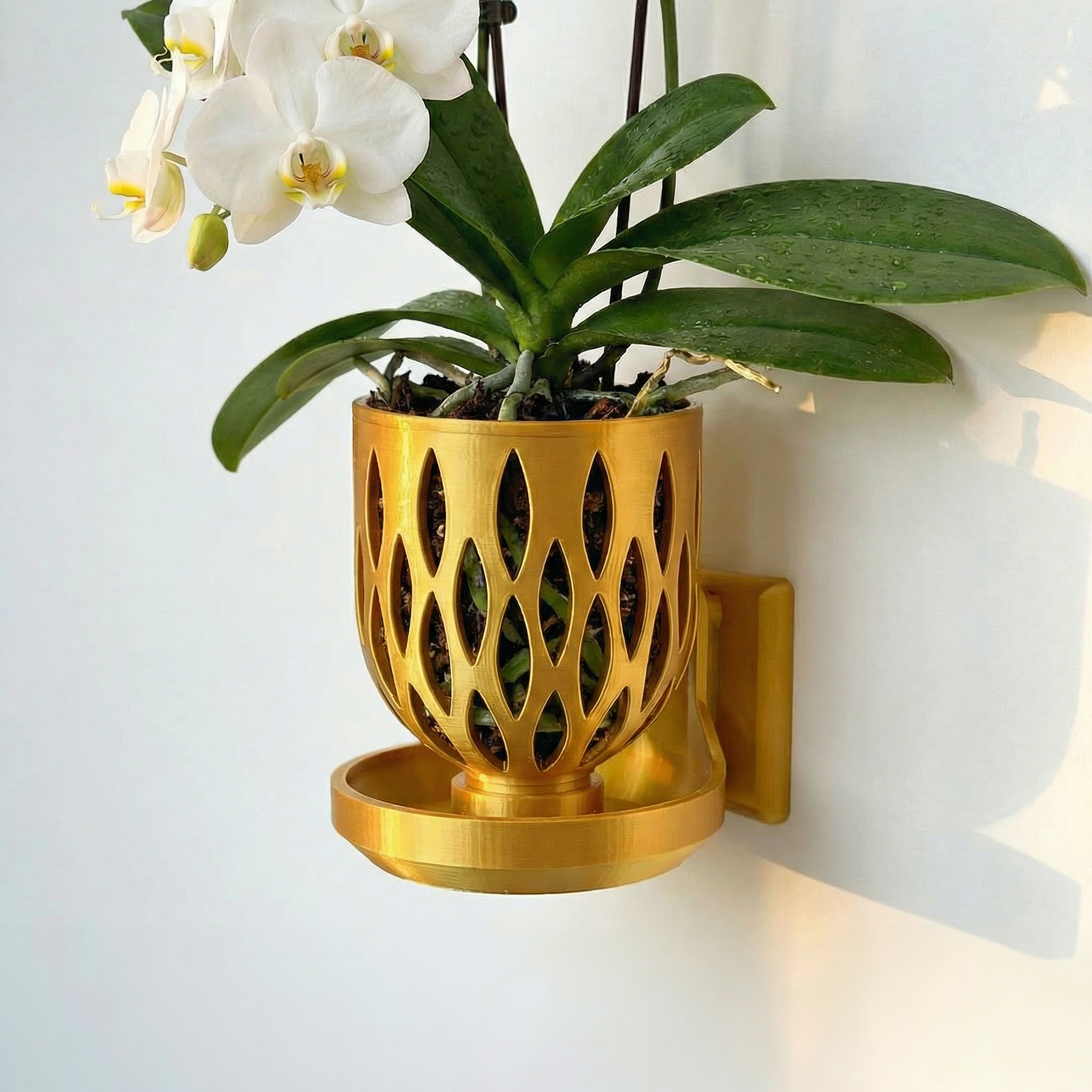 orchid plant pot holders 4.5 inch Orchid Wall Mount Crown Pot Bundle Renter-Friendly Living Wall with No-Drill and Self-Watering Option White