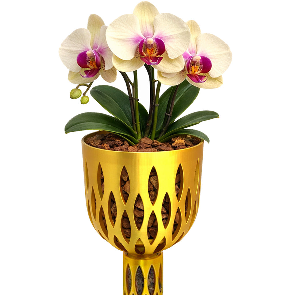 large orchid plant pot 6 inch Orchid Crown Pot for Topping Giant 2" Diameter Moss Poles Cool Gray / Pot Only