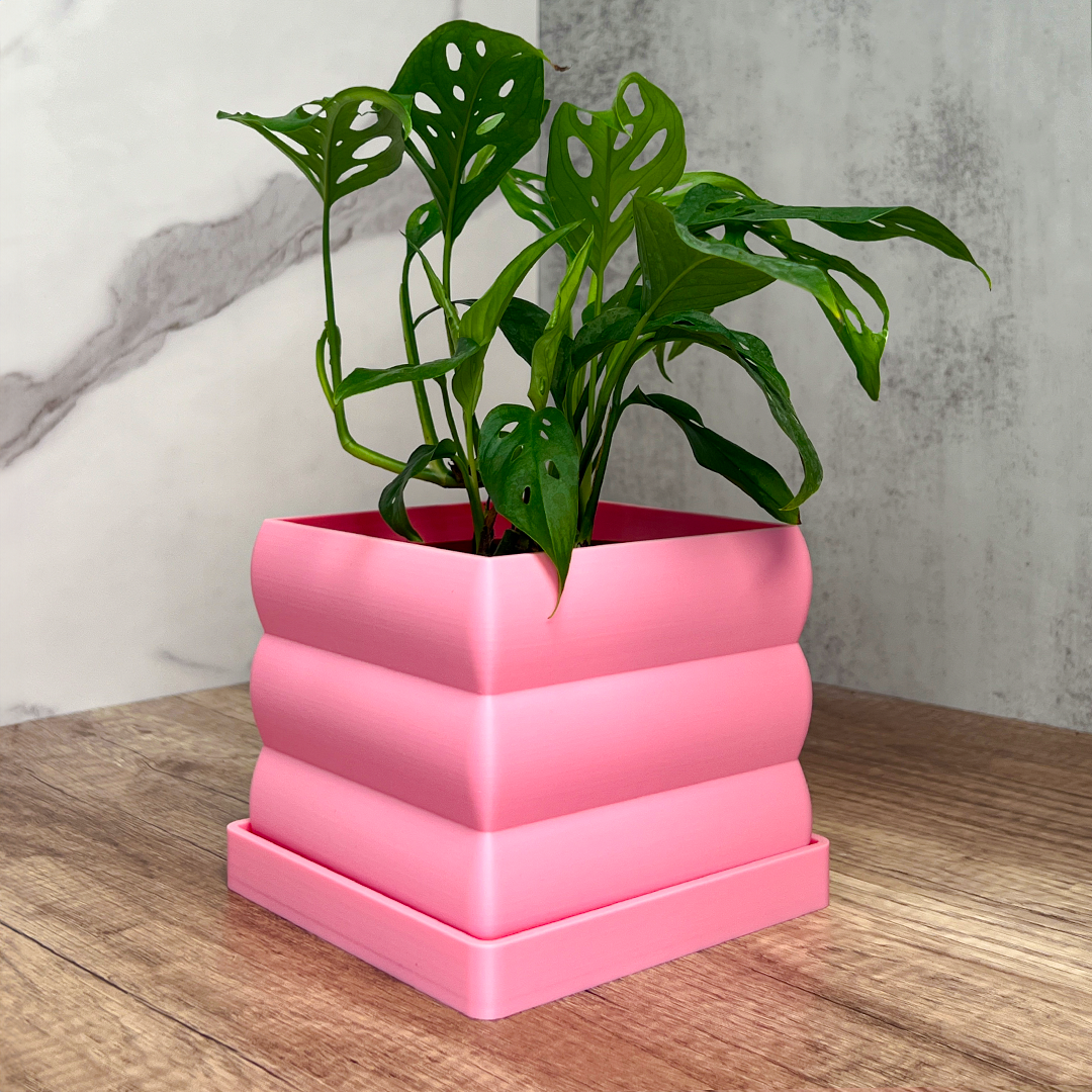 indoor plant pots with tray Bubble Square Planter With Drip Tray – Leafy Cove
