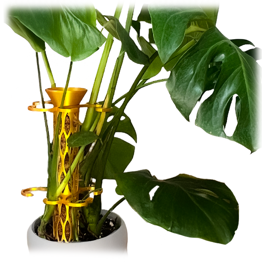 moss pole for a monstera plant Giant 2" Diameter Buildable Moss Pole Set