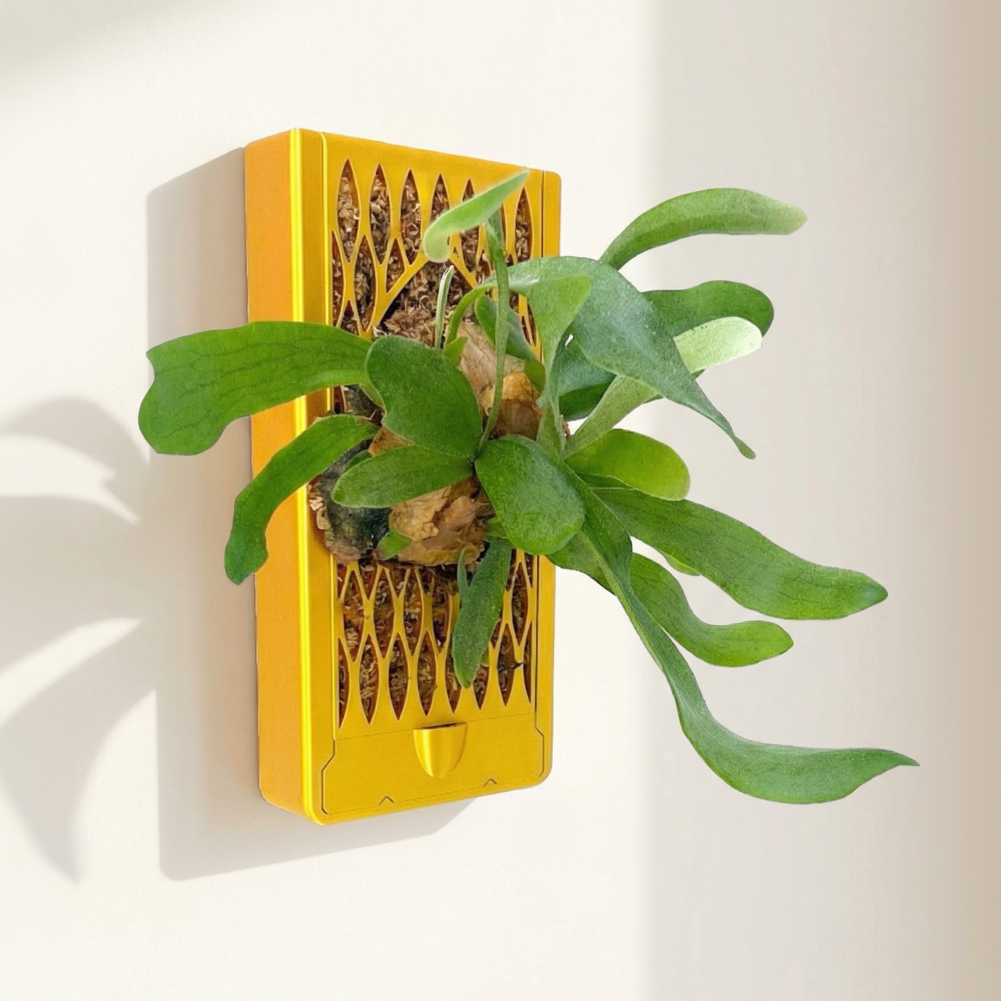 Orchid & Staghorn Fern Wall Mount Vertical Planter – Renter-Friendly Living Wall with No-Drill and Self-Watering Option Glittery Teal / Large Size – 5