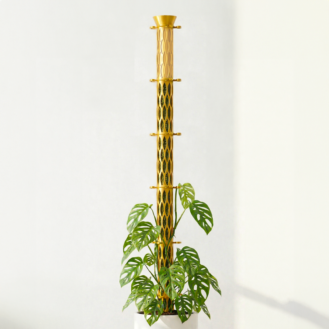 Self-Watering Standard 1.5