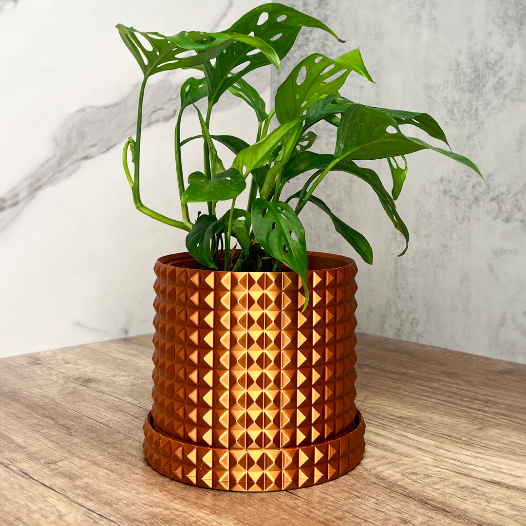 round plant pot indoor Studded Round Planter With Drip Tray Yellow / 7 Inch (18cm)