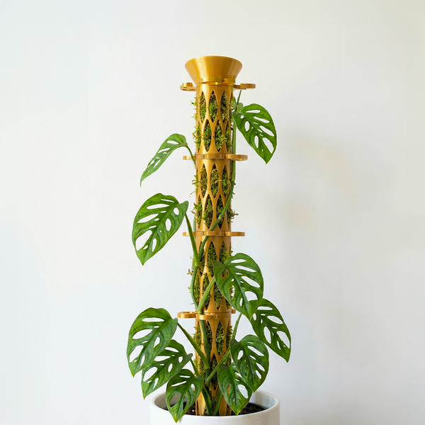 moss pole for monstera plant Buildable Moss Pole Rooting Starter Set for Climbing Plants Shiny Copper