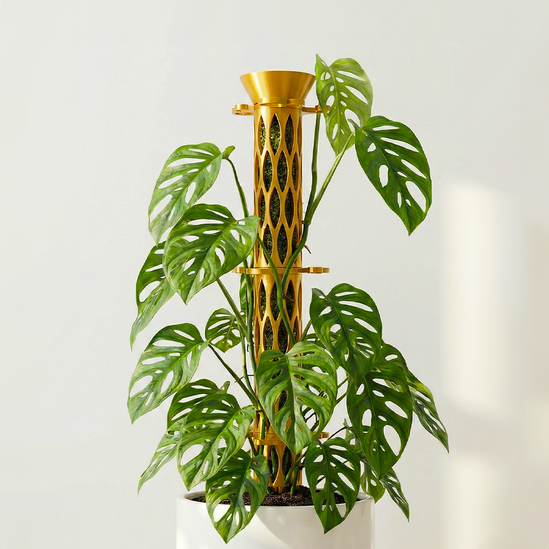 Starter Gift Set Standard 1.5" Diameter Buildable Moss Pole with Leafy Stem Supports