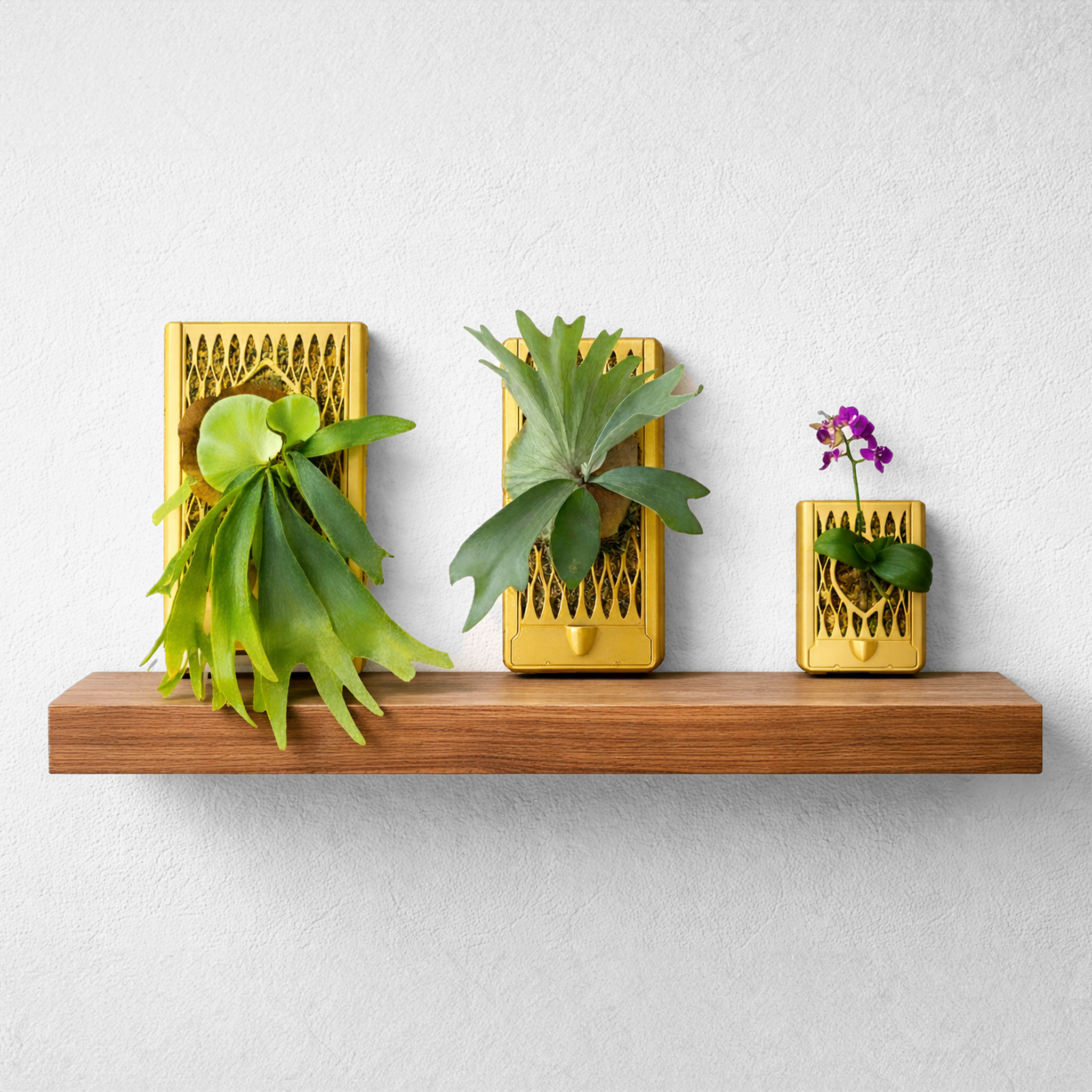 plant wall rack indoor Orchid & Staghorn Fern Wall Mount Vertical Planter – Renter-Friendly Living Wall with No-Drill and Self-Watering Option Glittery Teal / Large Size – 5
