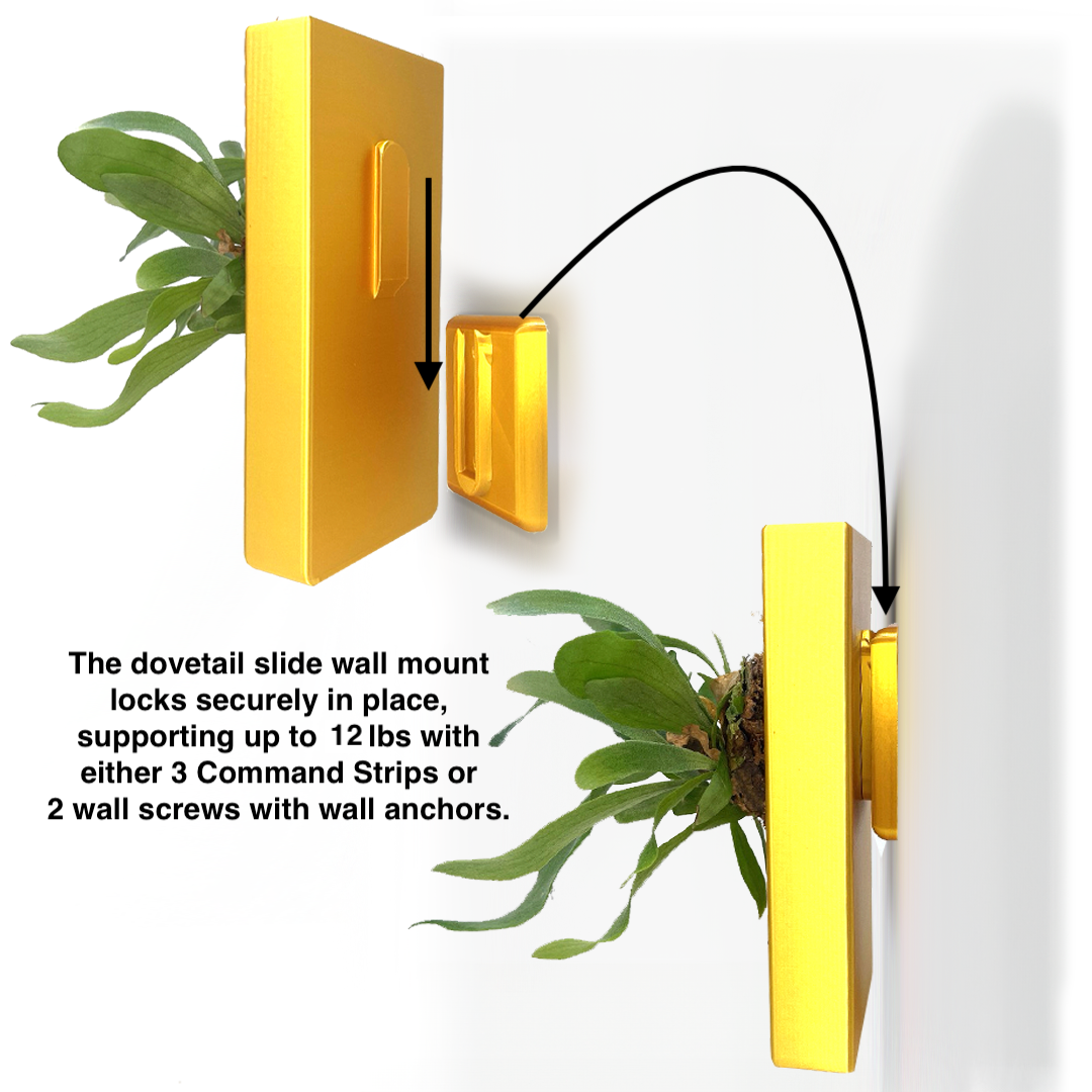 living wall planter self watering Orchid & Staghorn Fern Wall Mount Vertical Planter – Renter-Friendly Living Wall with No-Drill and Self-Watering Option Glittery Teal / Large Size – 5