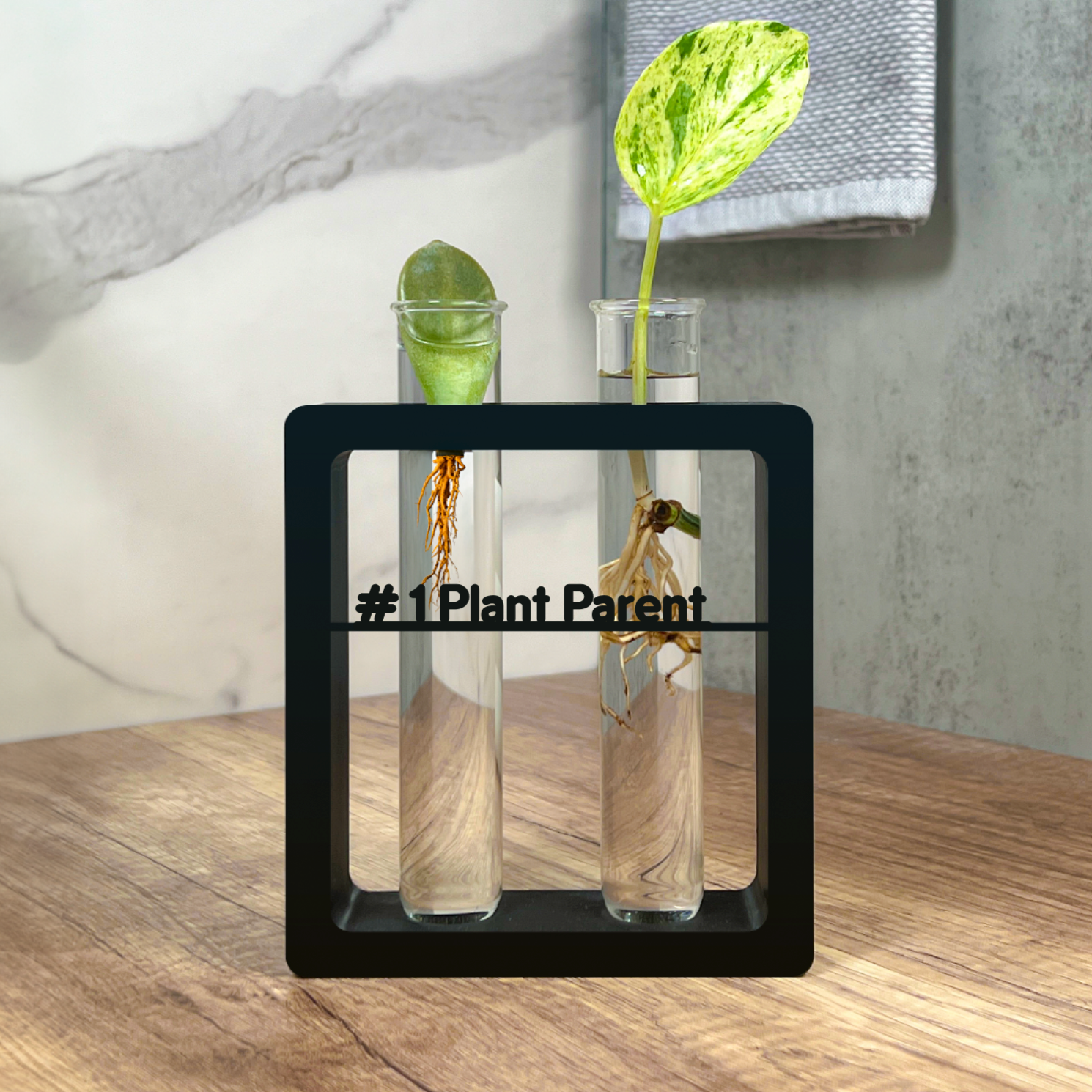 Custom Text Plant Propagation Stem Vase Stand - Rectangle, Personalized Modern Decor with Large Test Tube, Perfect for Gifting and Displaying on a Desk, Shelf, and Table - Leafy Cove 