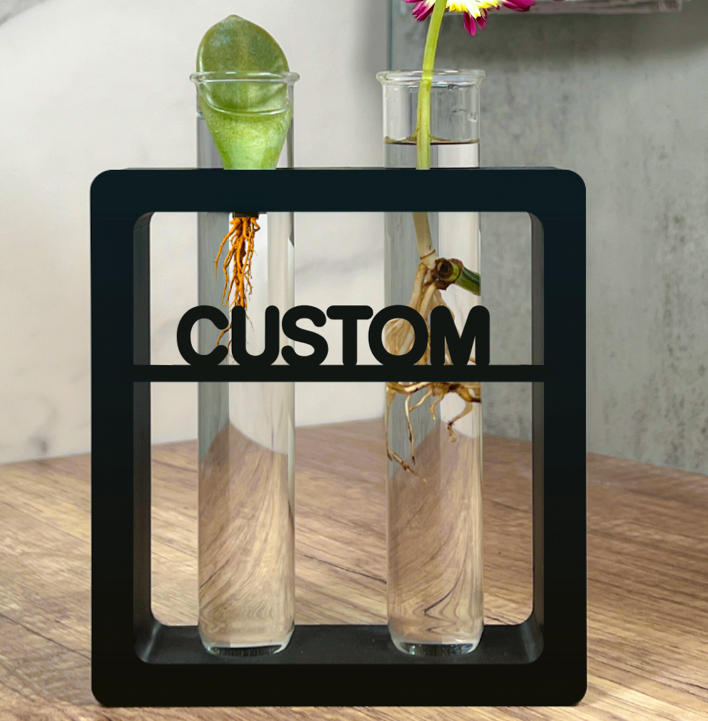 Custom Text Plant Propagation Stem Vase Stand - Rectangle, Personalized Modern Decor with Large Test Tube, Perfect for Gifting and Displaying on a Desk, Shelf, and Table - Leafy Cove 