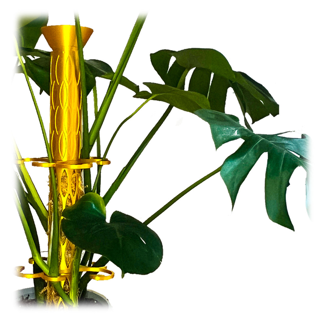 giant moss pole Giant 2" Diameter Self-Watering Buildable Moss Pole Set
