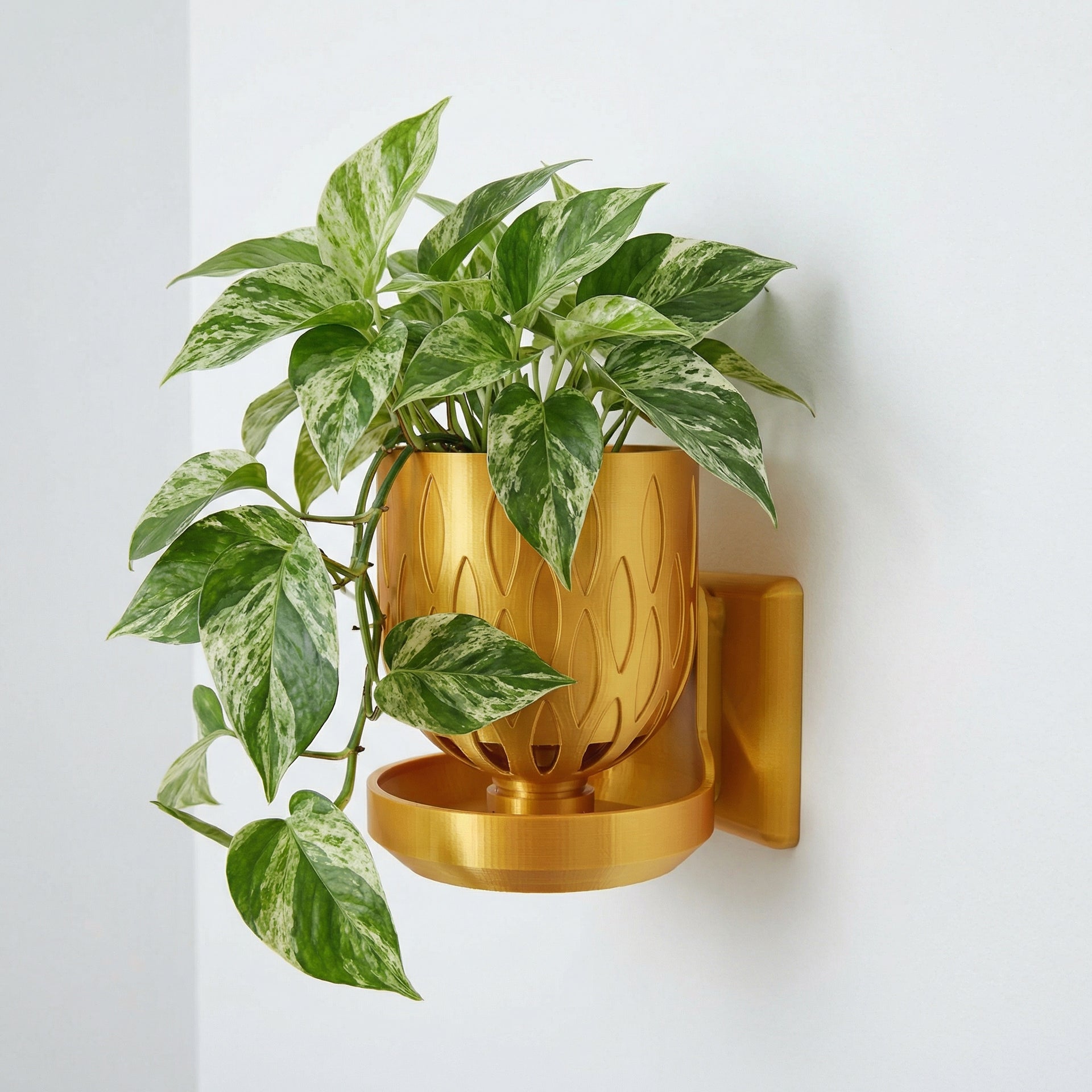 plant pot wall mount 4 inch Wall Mount Crown Pot Bundle Renter-Friendly Living Wall with No-Drill and Self-Watering Option Blue