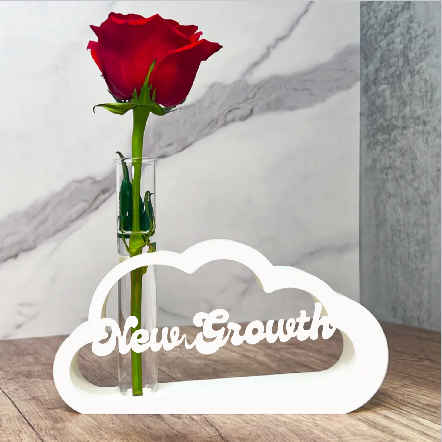 Personalized Cloud Propagation Stem Vase