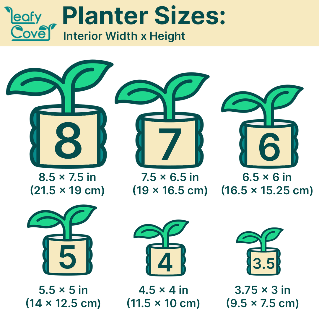 Round Bubble Plant Planter With Optimal Drainage System - Leafy Cove