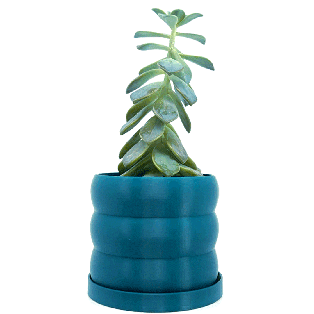 bubble planter pot Round Bubble Plant Planter With Tray White / 6 Inch (15cm)