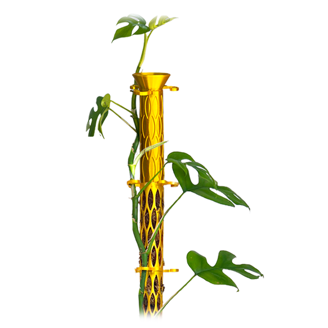 self watering moss poles Standard 1.5" Diameter Self-Watering Buildable Moss Pole Reservoir w/ Adjustable Drip Flow for Sphagnum Moss & Hydration Frosted Clear