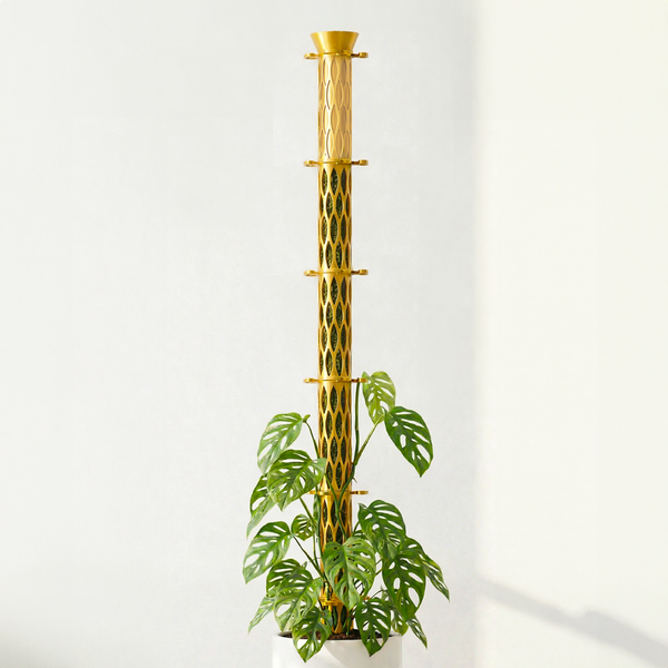 bamboo moss pole Self-Watering Standard 1.5" Diameter Buildable Moss Pole Starter Set with Adjustable Drip Reservoir Frosted Clear