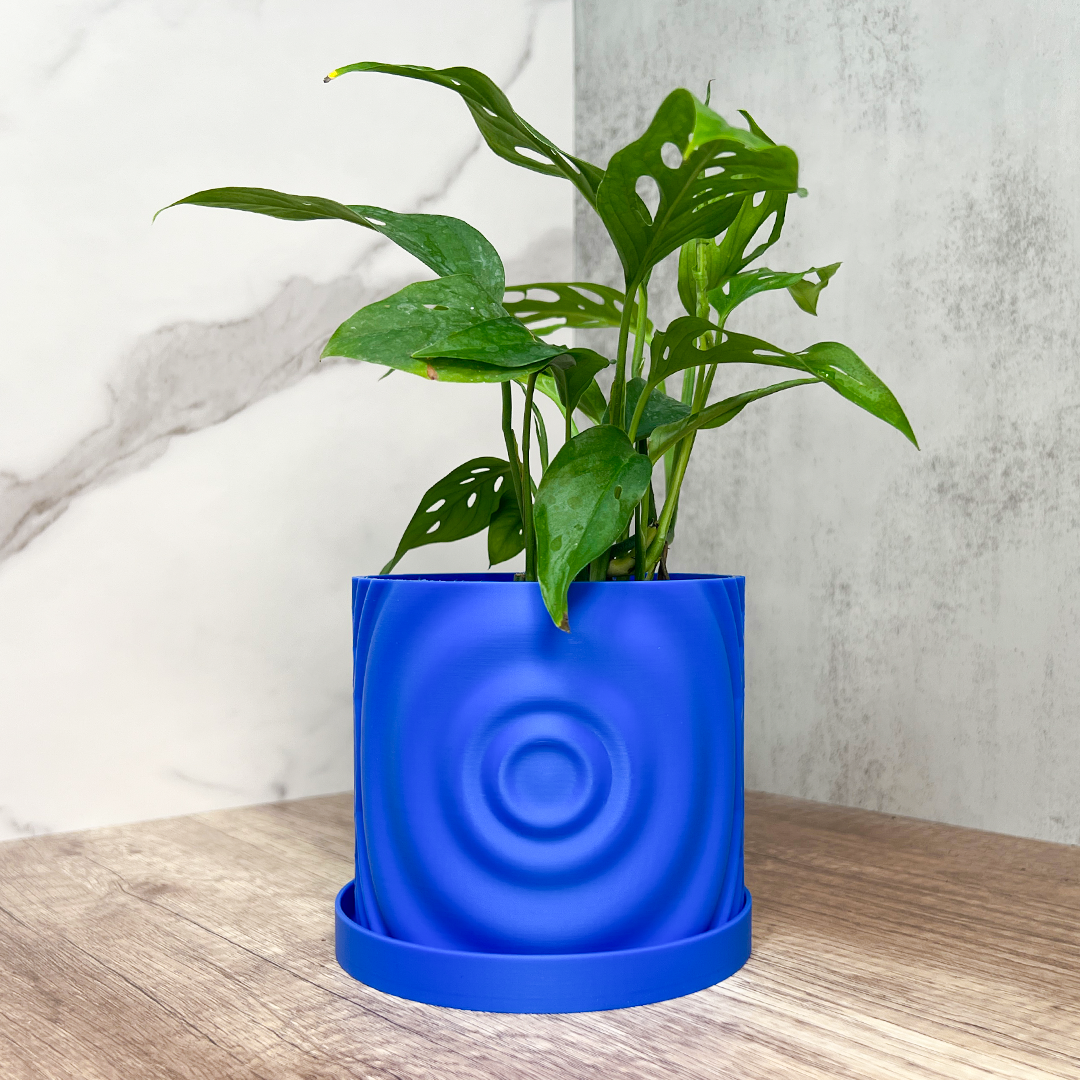 water trays for plant pots Water Ripple Round Planter With Drip Tray Blue / 3.5 Inch (7.5cm)